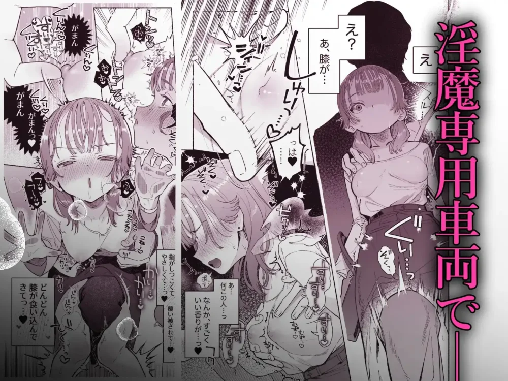 淫魔専用車両玩具痴幹線 【たまランド】wnacgやHitomi配信ある?無料rawも!